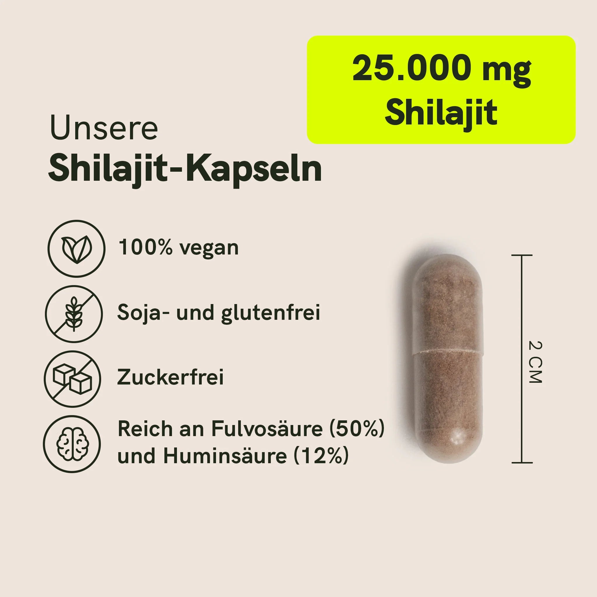 Shilajit Kapseln